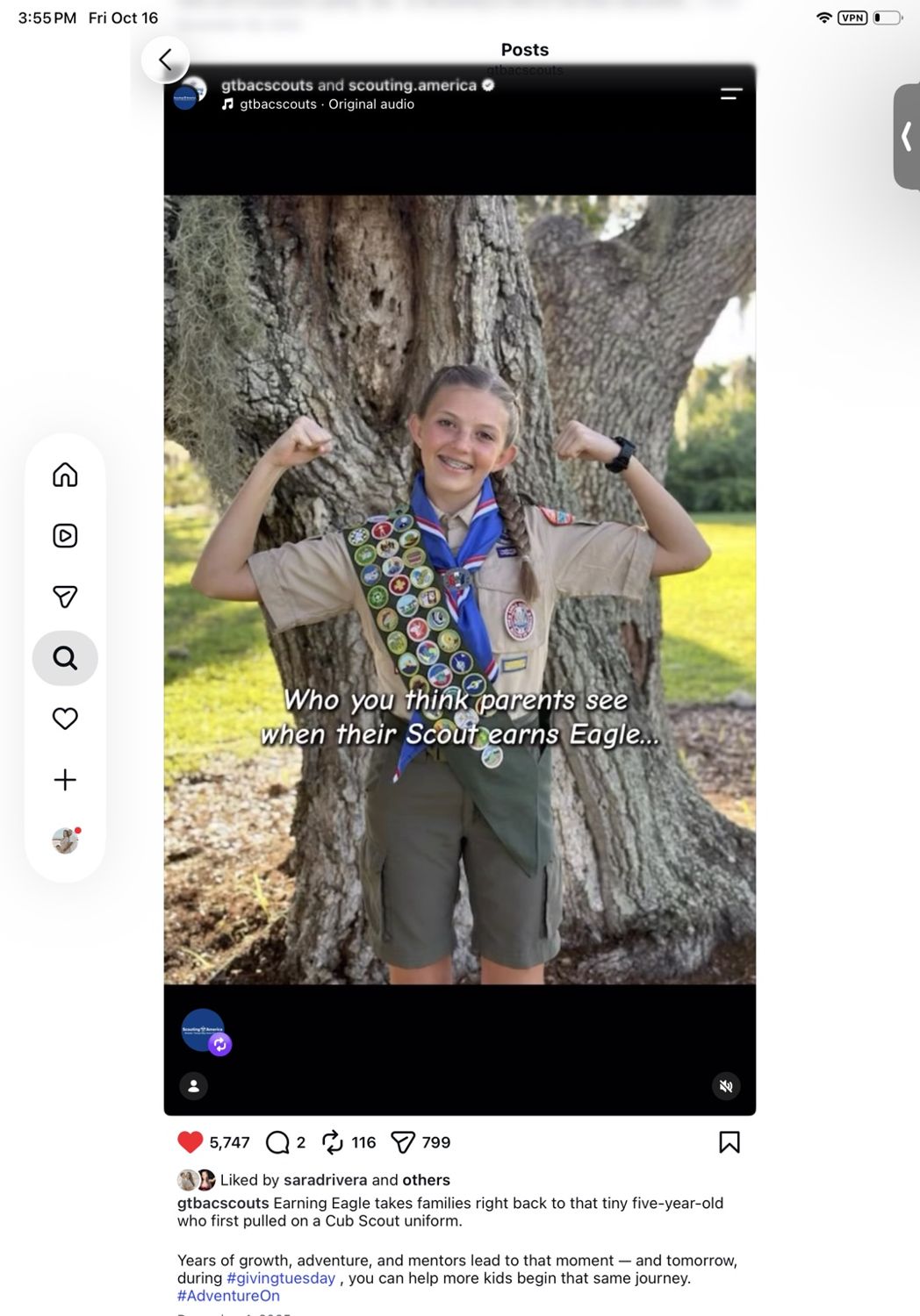 Social Media & Content